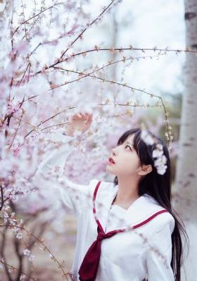 谍之心在线观看高清完整版免费_720电影完整版在线观看